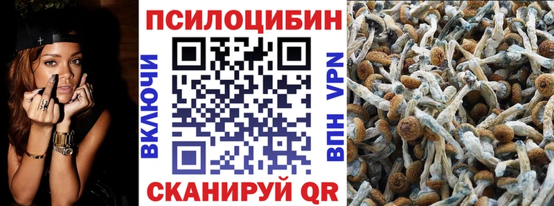 Псилоцибиновые грибы мухоморы  KRAKEN как войти  Волоколамск 