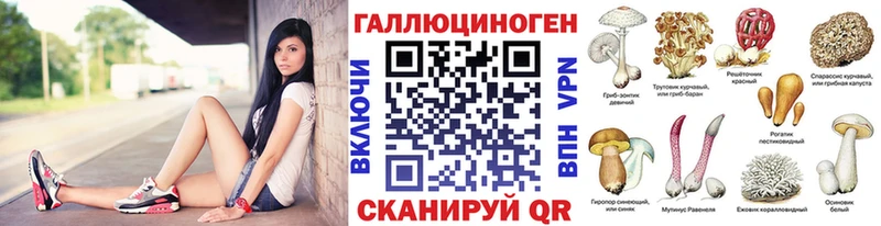 Псилоцибиновые грибы мицелий Волоколамск