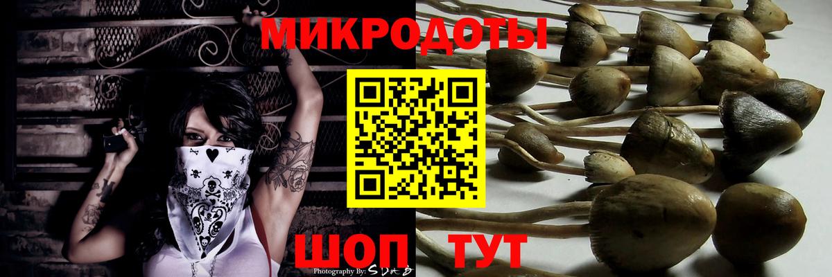 Галлюциногенные грибы GOLDEN TEACHER  Псилоцибиновые грибы MAGIC MUSHROOMS  Вход с VPN  Волоколамск 