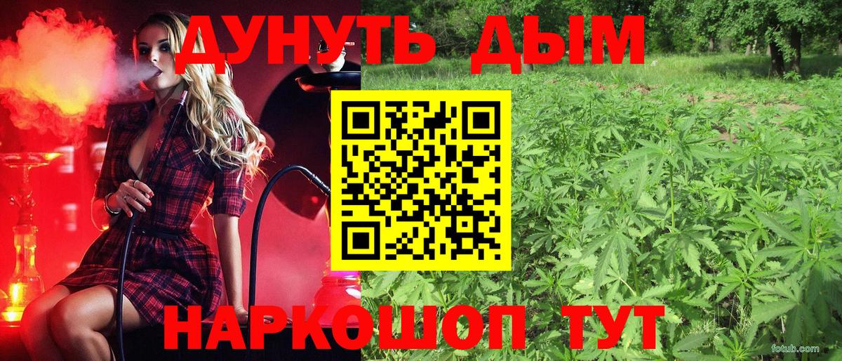Волоколамск  Марихуана семена  Бошки Шишки Bruce Banner  МАРИХУАНА семена  Марихуана Ganja  Вход с VPN 